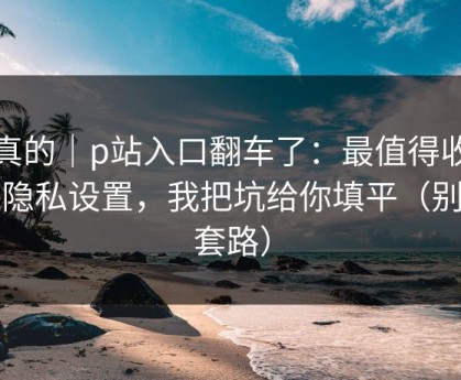 说真的｜p站入口翻车了：最值得收藏的隐私设置，我把坑给你填平（别被套路）