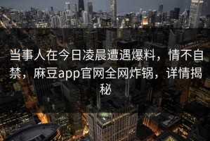 当事人在今日凌晨遭遇爆料，情不自禁，麻豆app官网全网炸锅，详情揭秘