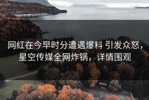 网红在今早时分遭遇爆料 引发众怒，星空传媒全网炸锅，详情围观