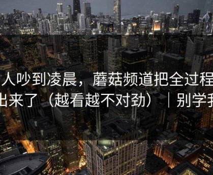 家人吵到凌晨，蘑菇频道把全过程剪出来了（越看越不对劲）｜别学我