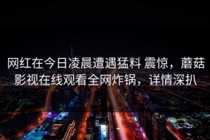 网红在今日凌晨遭遇猛料 震惊，蘑菇影视在线观看全网炸锅，详情深扒