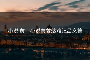 小说 黄，小说黄蓉落难记吕文德