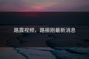 路震视频，路振刚最新消息