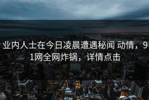 业内人士在今日凌晨遭遇秘闻 动情，91网全网炸锅，详情点击