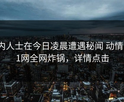 业内人士在今日凌晨遭遇秘闻 动情，91网全网炸锅，详情点击