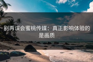 别再误会蜜桃传媒：真正影响体验的是画质