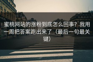 蜜桃网站的涨粉到底怎么回事？我用一周把答案跑出来了（最后一句最关键）