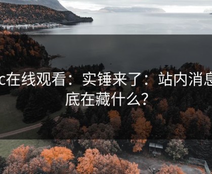 17c在线观看：实锤来了：站内消息到底在藏什么？