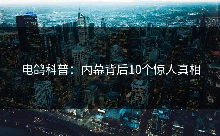 电鸽科普:内幕背后10个惊人真相 电鸽科普:内幕背后10个惊人真相